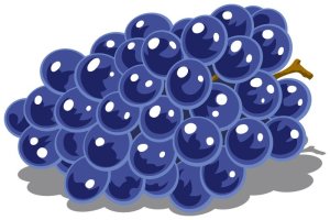 画像10: LSシャツ