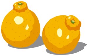 画像11: LSシャツ