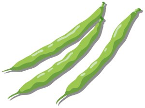 画像3: 定期購入品06