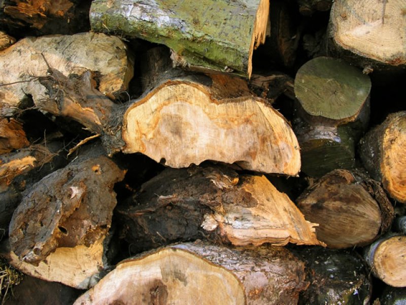 画像2: タイル44