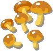 画像8: ライスバーガー (8)